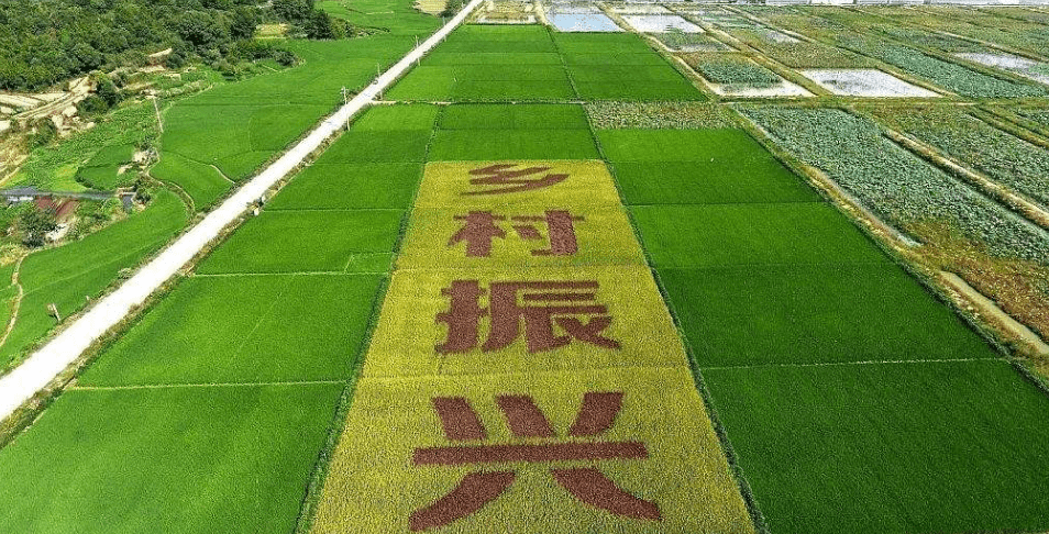 人民日?qǐng)?bào)“鄉(xiāng)村振興計(jì)劃”為何看上他？_直播_行業(yè)_農(nóng)產(chǎn)品